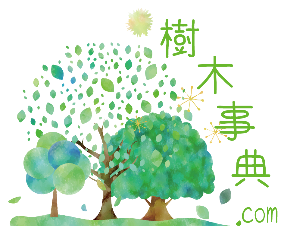 樹木事典 樹木事典は樹木マニアの樹木博士が様々な樹木の特徴や 開花時期などを発信していくサイトです